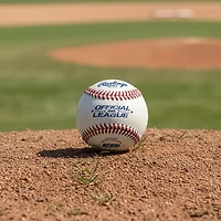 Rawlings High School Baseballs 2-Pack