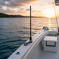 Dual AM/FM Rubber Mast 17 Antenna