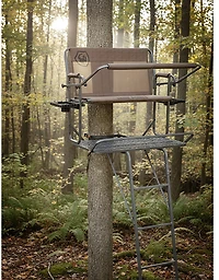 Game Winner Platform 2-Man Ladder Stand