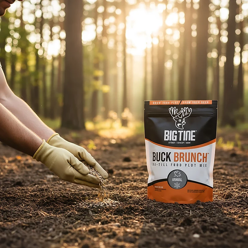 Big Tine 4 lb. Buck Brunch Food Plot Mix