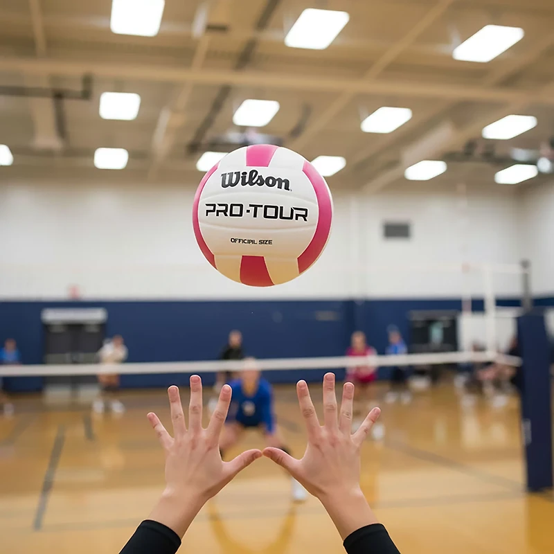Wilson Pro Tour Indoor Volleyball