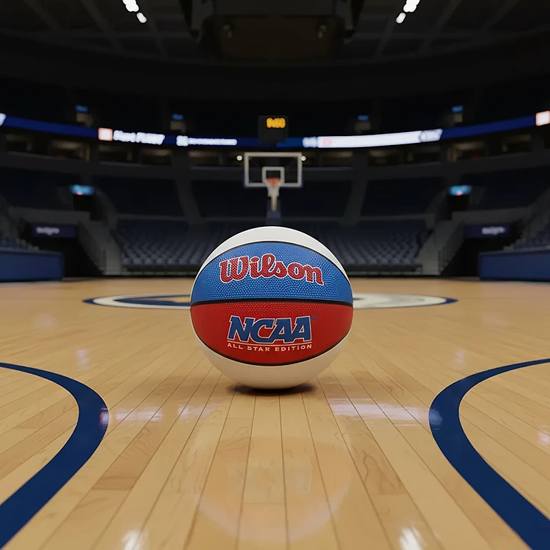 Wilson Mini Basketball