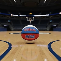 Wilson Mini Basketball