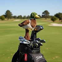 Daphne's Headcovers Mallard Driver Headcover