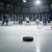 A&R Ice Hockey Puck