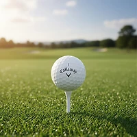 Callaway Warbird 2023 Golf Balls 12-Pack