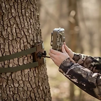 Browning Tree Mount