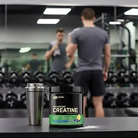 Optimum Nutrition Blueberry Lemonade Creatine Powder