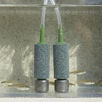 Marine Metal Products Glass Bead Airstone 2-Pack