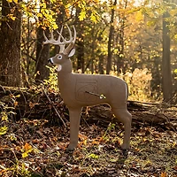 GlenDel 3-D Buck Target