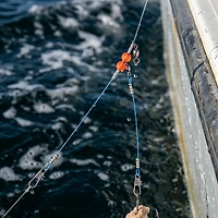 Eagle Claw Single Drop Blue Wire Leaders 10-pack