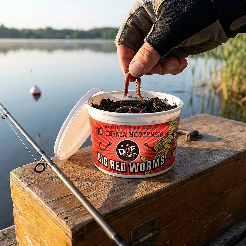 DMF Bait Big Red Worms 30-ct