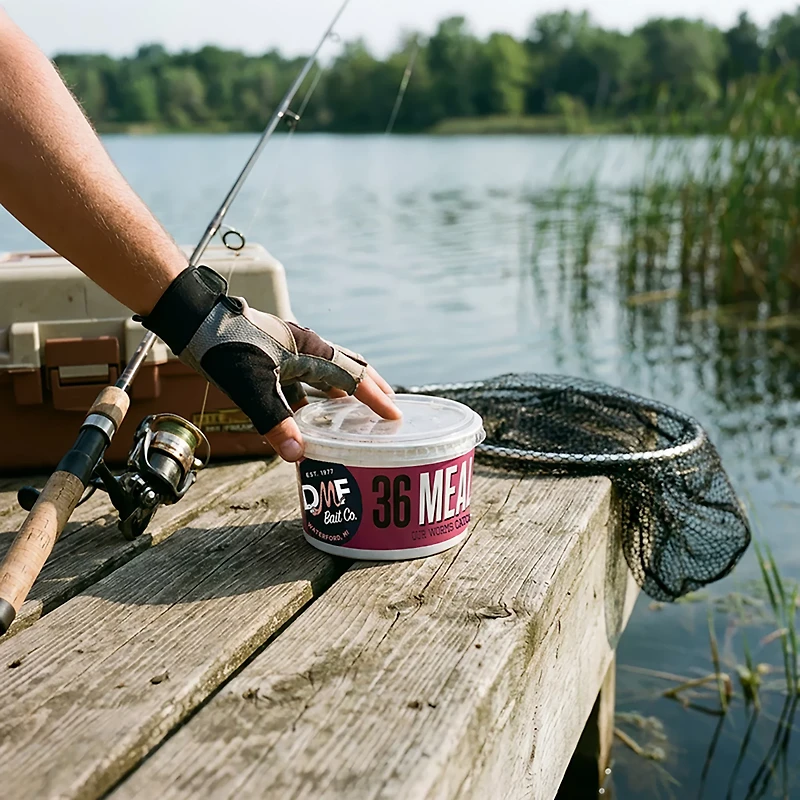 DMF Bait Live Meal Worm 36-Pack