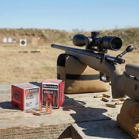Hornady BTHP .22 68-Grain Bullets