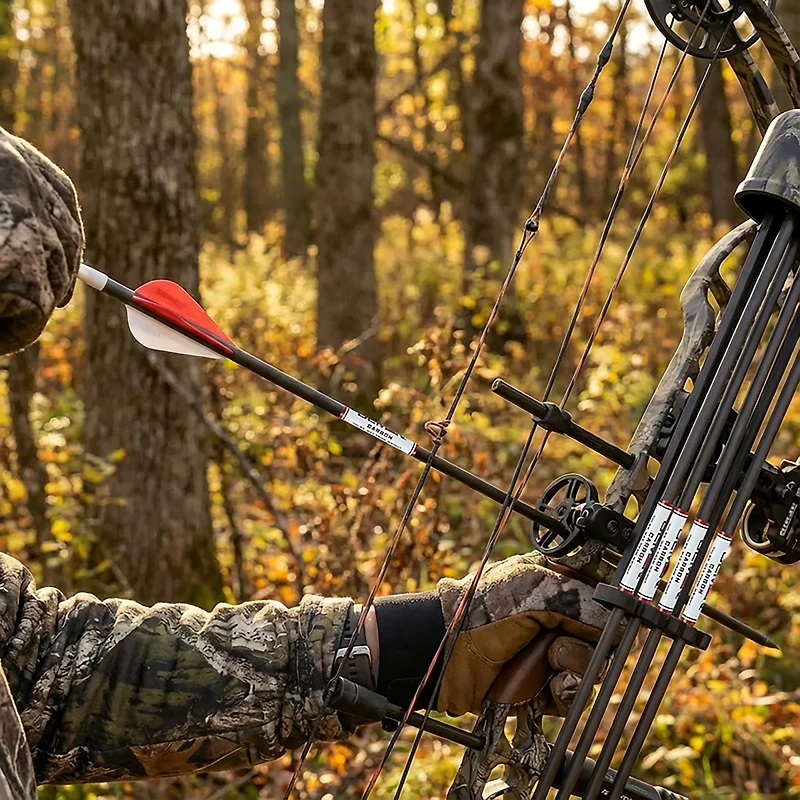 Beman White Box Carbon Arrows 4-Pack