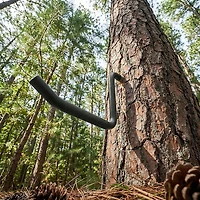 Ameristep™ Step-Up Tree Steps 8-Pack