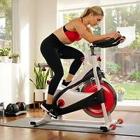 Sunny Health & Fitness Belt Drive Premium Indoor Cycling Bike