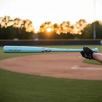 Rawlings Big Stick Elite R110 Wood Baseball Bat