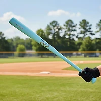 Rawlings Big Stick Elite R110 Wood Baseball Bat