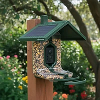 FeatherSnap Scout WiFi Smart Bird Feeder
