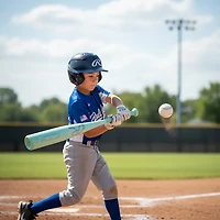 Rawlings Icon JBB USSSA Baseball Bat -11