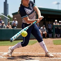 DeMarini Lotus 2026 Fastpitch Softball Bat -10