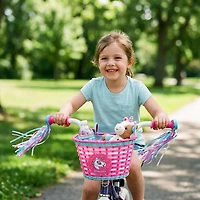 Raskullz Girls' Hearty Gem Bicycle Basket and Streamers