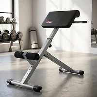 Sunny Health & Fitness 45-Degree Hyperextension Roman Chair