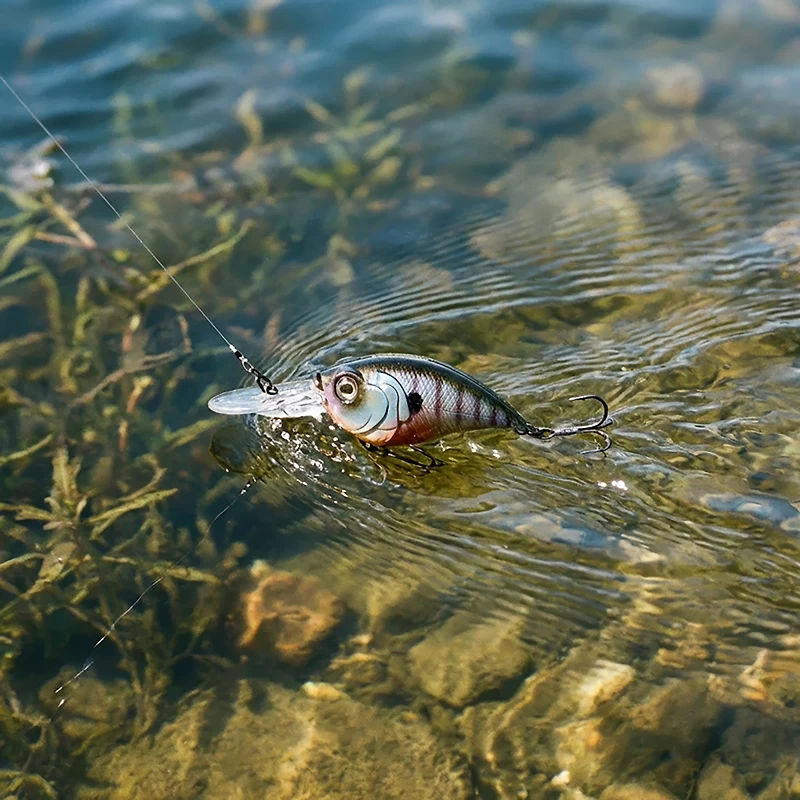 6th Sense Curve 55 3/8 oz Crankbait