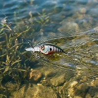 6th Sense Curve 55 3/8 oz Crankbait