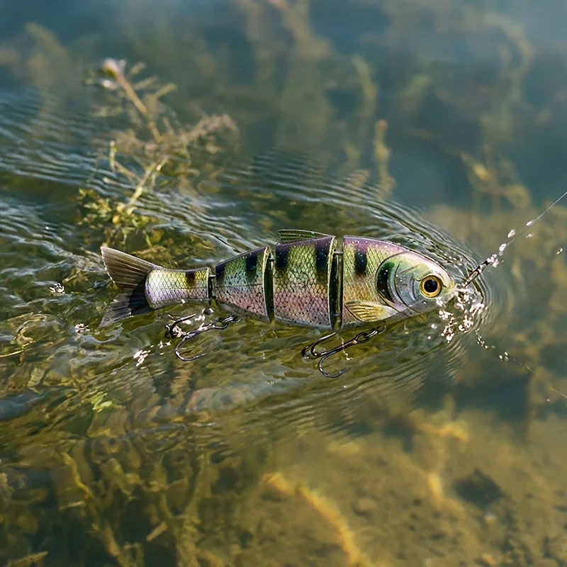 Catch Co. Mike Bucca's Baby Bull Shad