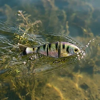 Catch Co. Mike Bucca's Baby Bull Shad