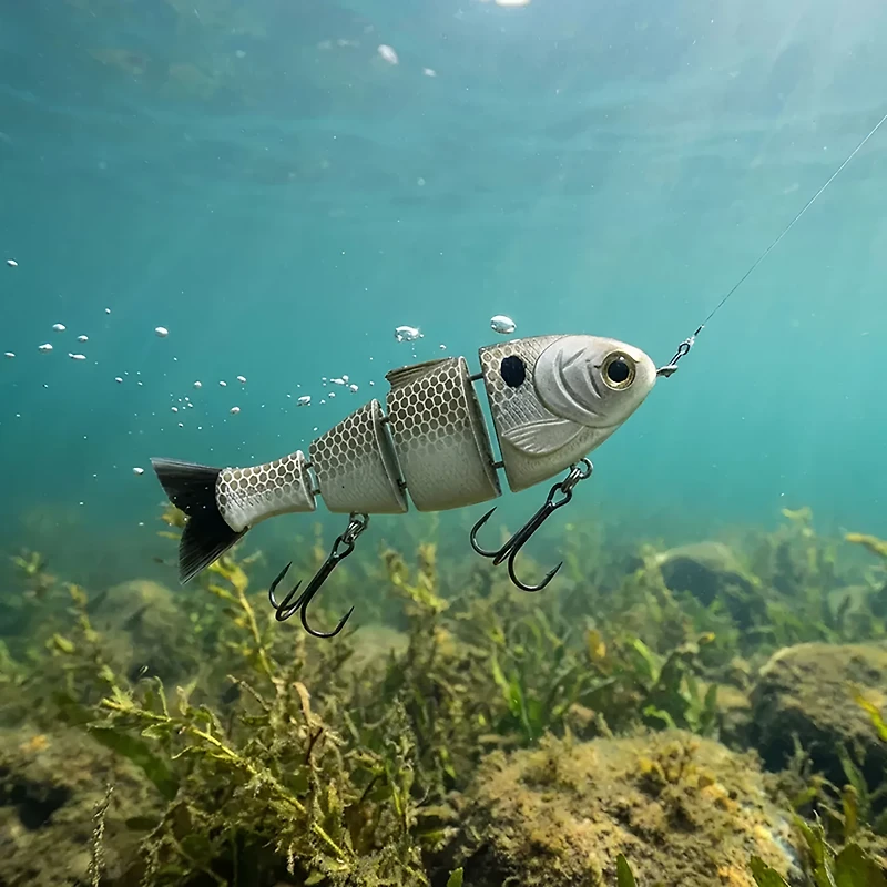 Catch Co. Mike Bucca's Baby Bull Shad