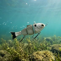 Catch Co. Mike Bucca's Baby Bull Shad