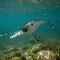 Berkley Frittside Hard Bait
