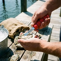 Bubba Paddoc Shucking Knife