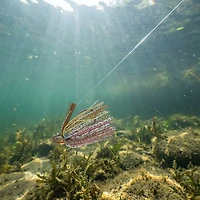 Dirty Jigs No-Jack Swim Jig