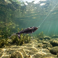 Berkley Choppo Topwater Bait