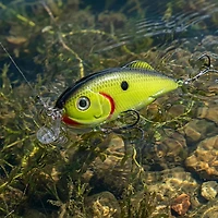 Strike King Hybrid Hunter Jr 3 Crankbait