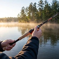 Dobyns Kaden 6' 10" Casting Rod