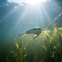 Rapala Ott's Garage Tiny 04 Shad Lure
