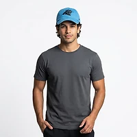 '47 Adults' Carolina Panthers Clean Up Cap