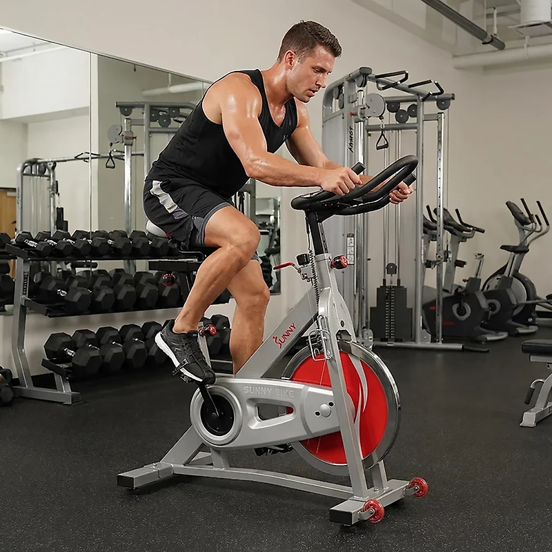 Sunny Health & Fitness Pro II Indoor Cycling Bike