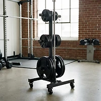 Marcy Vertical Tree Olympic Plate Rack
