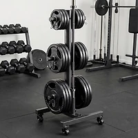 Marcy Vertical Tree Olympic Plate Rack