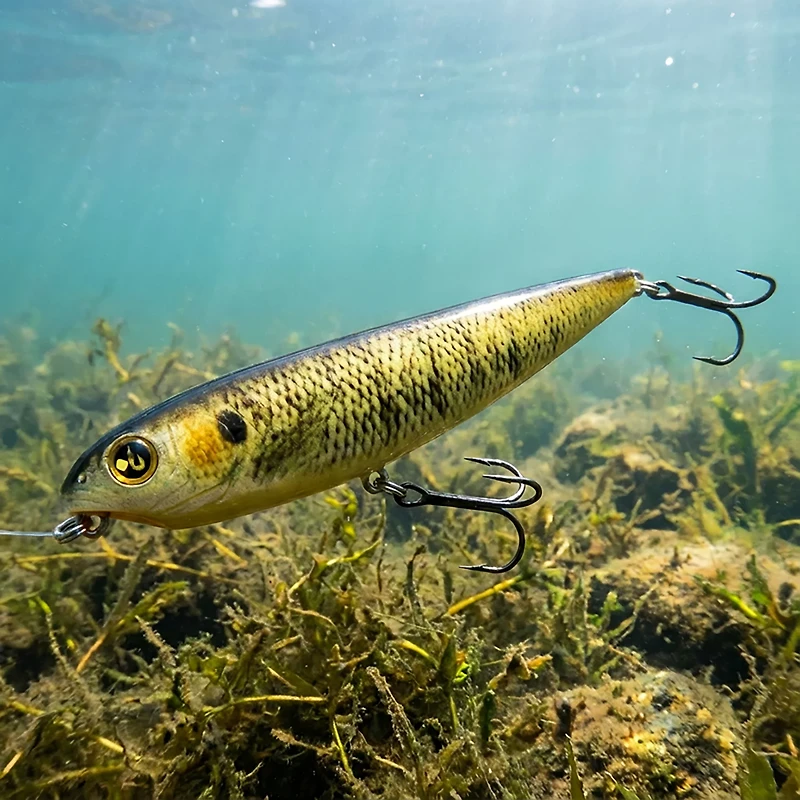 H2OX Model Top Water Special