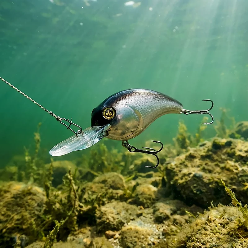 H2OX Model M Medium Diving Crankbait