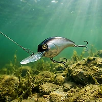 H2OX Model M Medium Diving Crankbait