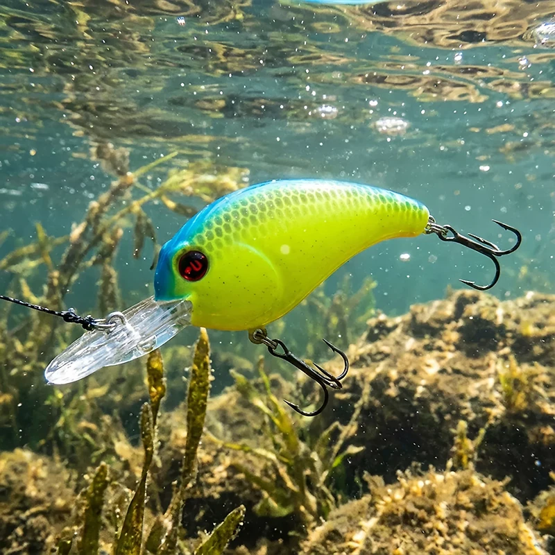 H2OX Model M Medium Diving Crankbait