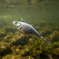 H2OX 5/8 oz Lipless Crankbait